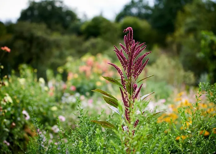 דירה Christepaul