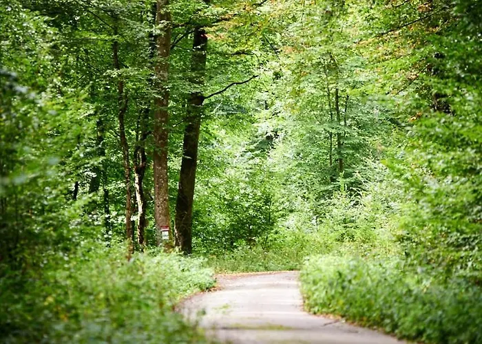 דירה Christepaul